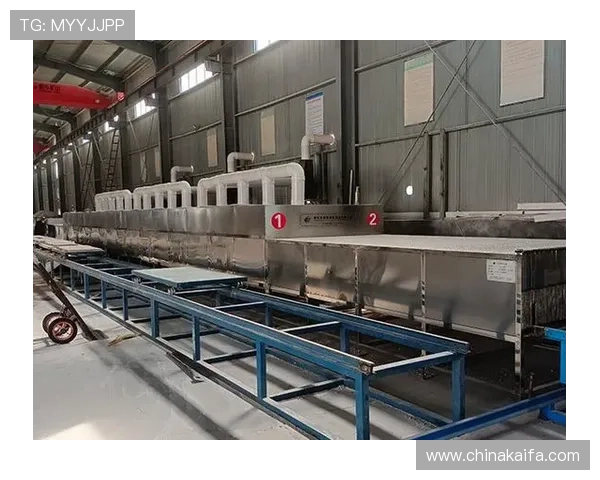 凯发唯一官方技术支持强大，确保平台稳定运行，提供流畅顺畅的游戏体验