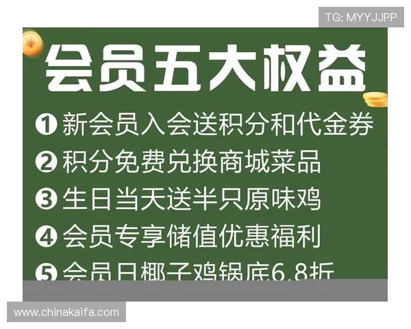 凯发真人娱乐平台VIP会员制度详解享受专属特权与福利 凯发真人娱乐平台VIP会员制度详解享受专属特权与福利